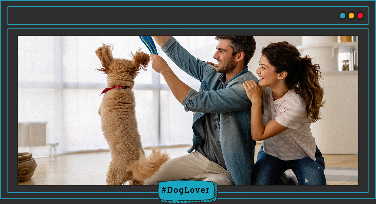 ¿Cuáles son los signos de felicidad en un perro?